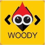 woody add snippets